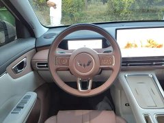 Wuling Bingguo S 325km Deluxe Edition - ფოტო 11