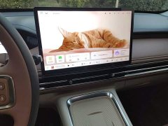 Wuling Bingguo S 325km Deluxe Edition - ფოტო 13