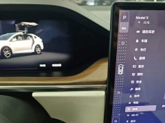 Tesla Model X 2023 Dual Motor All-Wheel Drive - ფოტო 14