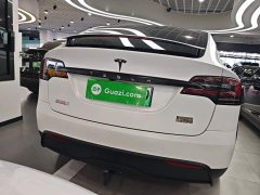 Tesla Model X 2023 Dual Motor All-Wheel Drive - ფოტო 6