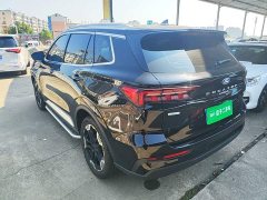 Ford Lingrui EcoBoost 170 Platinum Edition - ფოტო 5