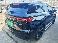 Ford Lingrui EcoBoost 170 Platinum Edition - ფოტო 7