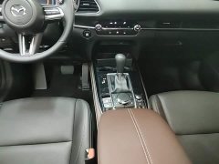 Mazda CX-30 2.0L Automatic Jia Yue Edition - ფოტო 14