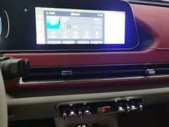 ORA Good Cat 400km Standard Range Venus Edition LFP Battery - ფოტო 13
