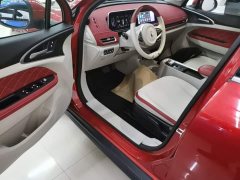 ORA Good Cat 400km Standard Range Venus Edition LFP Battery - ფოტო 16