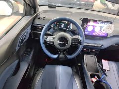 BYD Seagull Flying Edition - ფოტო 11