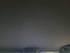 BYD Seagull Flying Edition - ფოტო 18