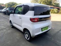 Wuling Hongguang MINIEV 2022 Easy Edition LFP Battery - ფოტო 5