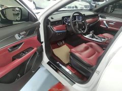 Jetour Jietu X70 PLUS 1.5T DCT Mountain 5-Seater - ფოტო 16