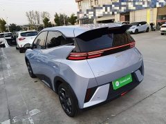 BYD Seagull Smart Drive 405km Freedom Edition - ფოტო 5