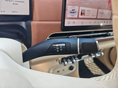 ORA Good Cat GT Mulan Edition 430km Prestige - ფოტო 14