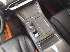 Nissan Venucia V 2021 260T Monarch Edition - ფოტო 14