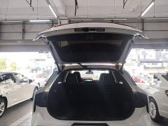 Nissan Venucia V 2021 260T Monarch Edition - ფოტო 19