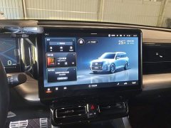 GAC Aion GS8 Dual Engine 2.0T M Two-Wheel Drive Luxury Edition (6-Seater) - ფოტო 13