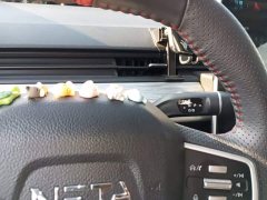 Neta V Standard Range Industry Custom Edition - ფოტო 14