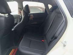 Neta V Standard Range Industry Custom Edition - ფოტო 17