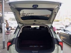 Neta V Standard Range Industry Custom Edition - ფოტო 19