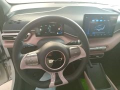 BYD Seagull 2025 305km Vitality Edition - ფოტო 11