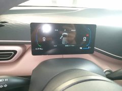 BYD Seagull 2025 305km Vitality Edition - ფოტო 12