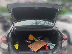 Trumpchi Leopard 270T DCT J15 - ფოტო 10