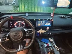 Trumpchi Leopard 270T DCT J15 - ფოტო 13