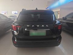 Haval Big Dog PLUS New Energy Hi4 102km Trendy Electric Edition Plus - ფოტო 6