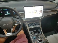 BYD Destroyer 05 Glory Edition DM-i 55KM Luxury - ფოტო 10