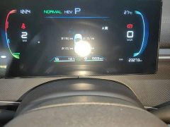 BYD Destroyer 05 Glory Edition DM-i 55KM Luxury - ფოტო 12