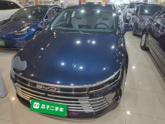 BYD Destroyer 05 Glory Edition DM-i 55KM Luxury - ფოტო 2