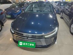 BYD Destroyer 05 Glory Edition DM-i 55KM Luxury - ფოტო 3