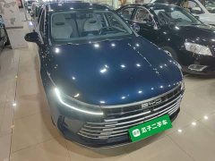 BYD Destroyer 05 Glory Edition DM-i 55KM Luxury - ფოტო 4