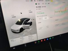 Tesla Model Y Rear-Wheel Drive - ფოტო 12