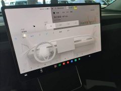 Tesla Model Y Rear-Wheel Drive - ფოტო 13