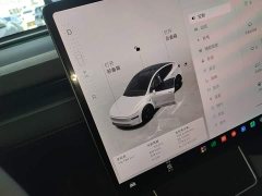 Tesla Model Y Rear-Wheel Drive - ფოტო 14