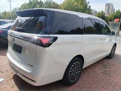 Buick GL8 New Energy Luushang Advance Edition - ფოტო 6