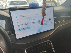 BYD Yuan Plus DM-i Champion Edition 112KM Honor Trim - ფოტო 9