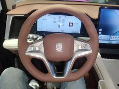 BYD Xia DM-i 1.5T 180km Excellence - ფოტო 11