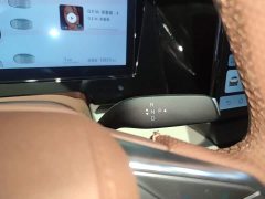 BYD Xia DM-i 1.5T 180km Excellence - ფოტო 14