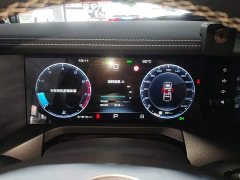 Tank 300 2021 Off-Road Edition 2.0T Conqueror - ფოტო 12