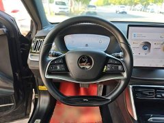 BYD Yuan Plus DM-i Champion Edition 112KM Honor Trim - ფოტო 11
