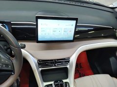 BYD Song Pro New Energy DM-i 71KM Glory Edition Pilot - ფოტო 13