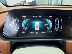 ORA Good Cat 400km Standard Range Athena Edition Ternary Lithium - ფოტო 12