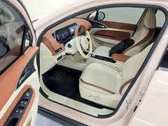 ORA Good Cat 400km Standard Range Athena Edition Ternary Lithium - ფოტო 16