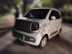 FAW Besturn Xiaoma 222km Lightning Edition - ფოტო 2