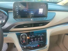 Buick GL8 Facelift Land Executive Cabin Luxury - ფოტო 13