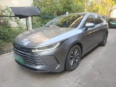 BYD Destroyer 05 Glory Edition DM-i 55KM Luxury - ფოტო 2