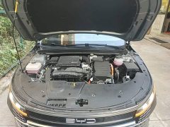 BYD Destroyer 05 Glory Edition DM-i 55KM Luxury - ფოტო 20