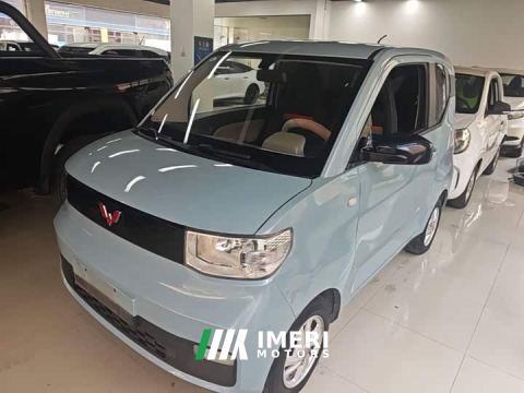 2021 Wuling Hongguang MINIEV Joyful Edition Ternary Lithium
