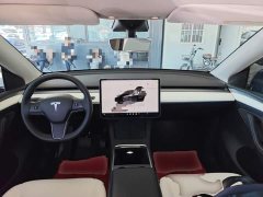 Tesla Model Y Rear-Wheel Drive - ფოტო 10