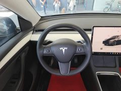 Tesla Model Y Rear-Wheel Drive - ფოტო 11